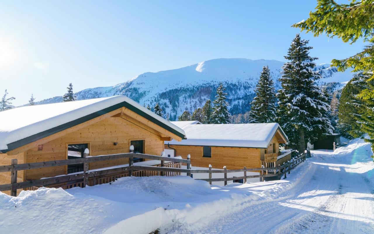 Luxalps- Turrach Alm Chalets Nr 1-4 Gruensee- Sauna- Skifahren- Wandern- Natur Turracher Hohe Exterior foto